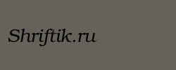 ER Bukinist 866 Italic 